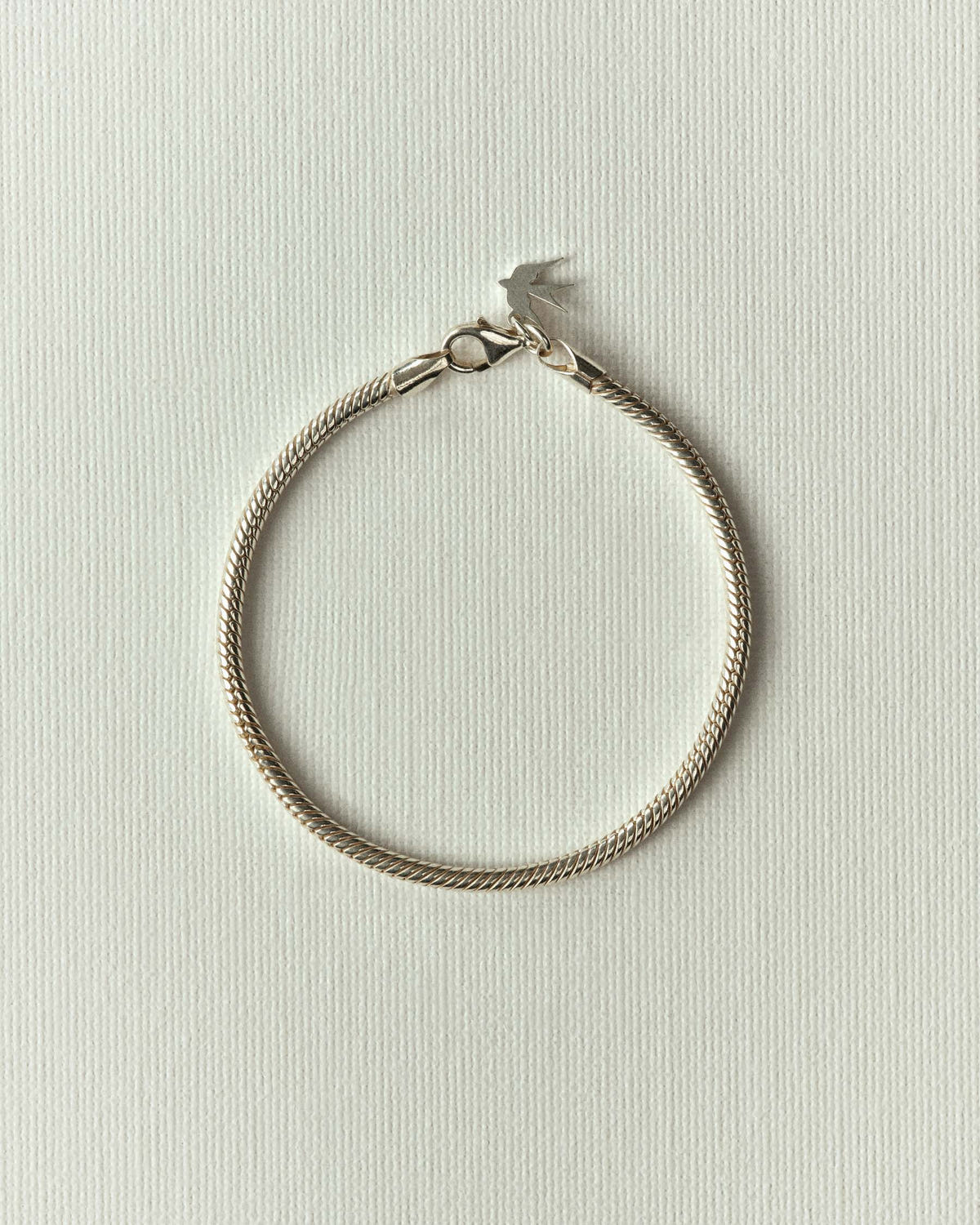 Smooth silver chain laid in a circle on textured cream paper, lobster clasp at the top