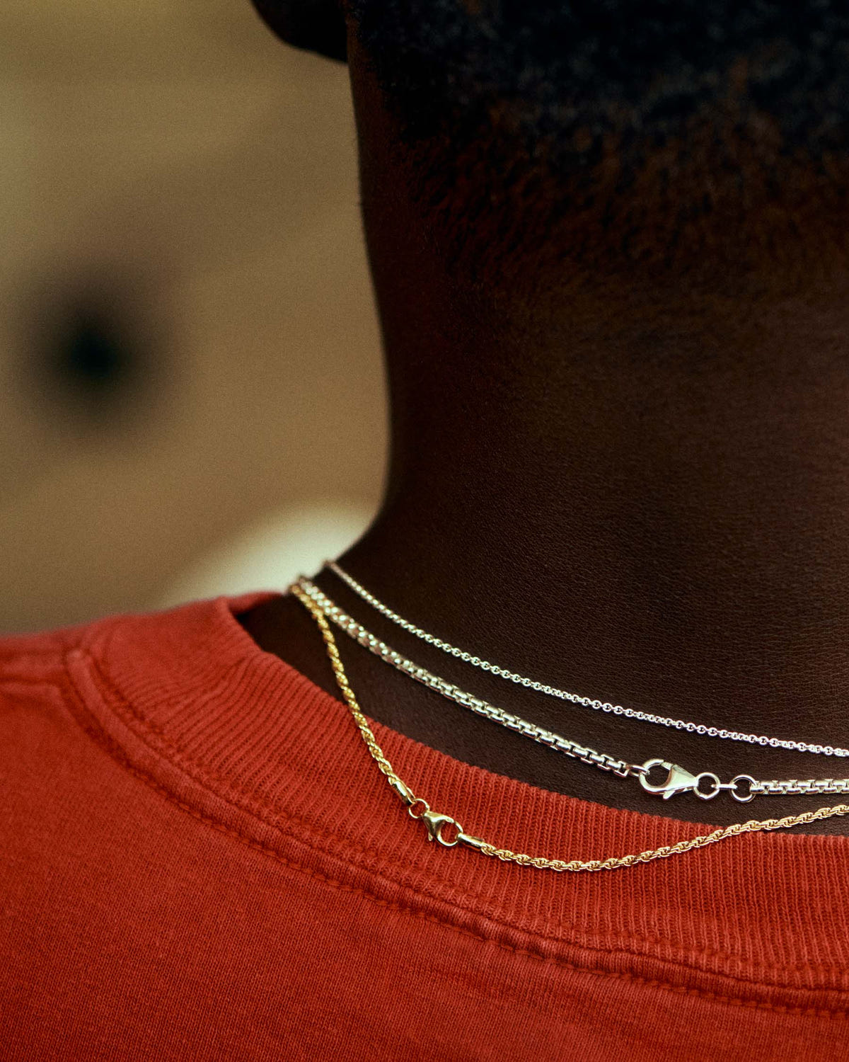 Back of the neck, clasps of a silver chain and a twisted gold chain, red collar