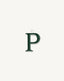 P / Silver 925
